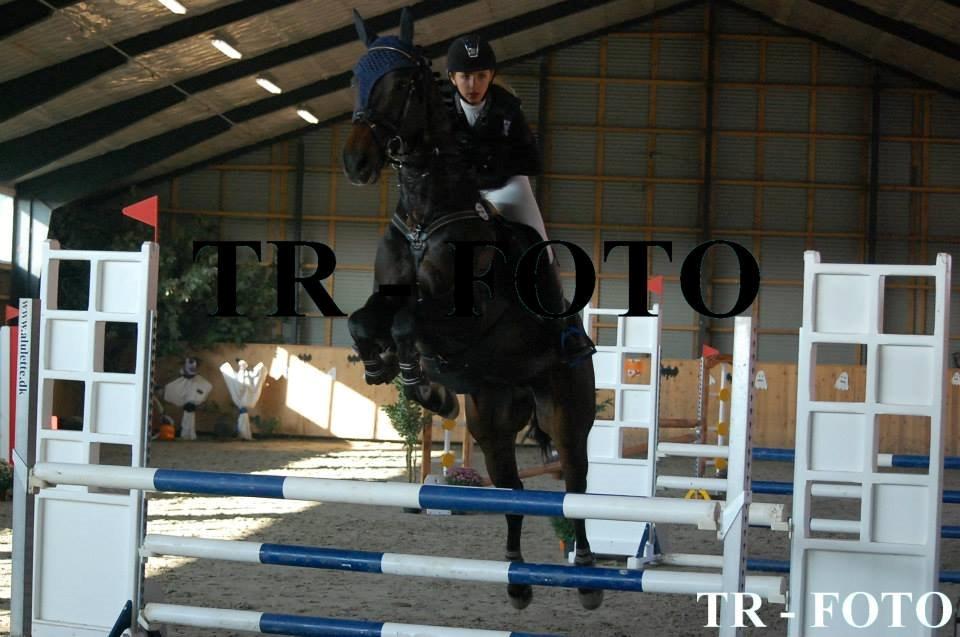 Anden særlig race Zig Zak billede 3