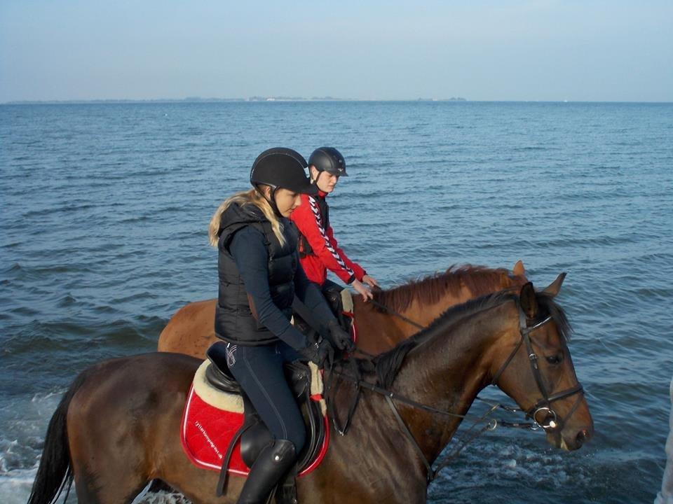 Anden særlig race Zig Zak billede 6