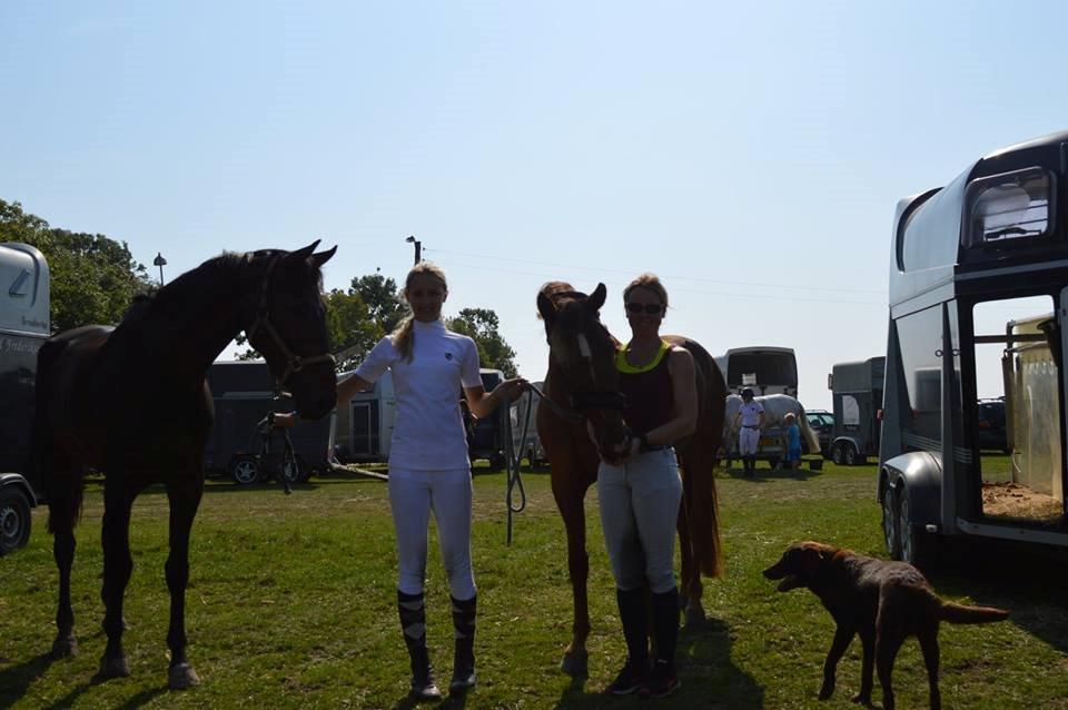 Anden særlig race Zig Zak billede 10