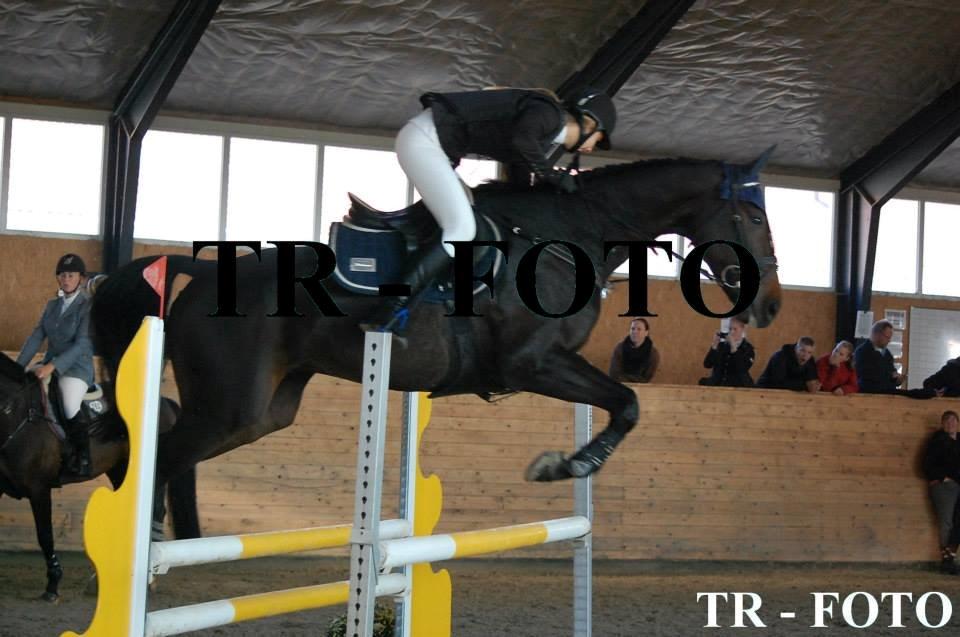 Anden særlig race Zig Zak billede 12