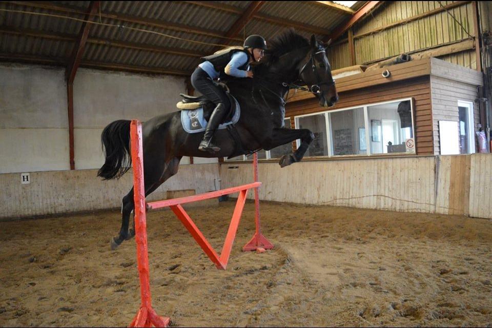 Anden særlig race Zig Zak billede 9