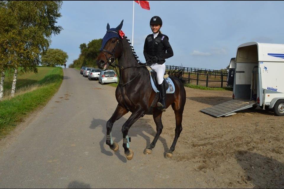 Anden særlig race Zig Zak billede 2