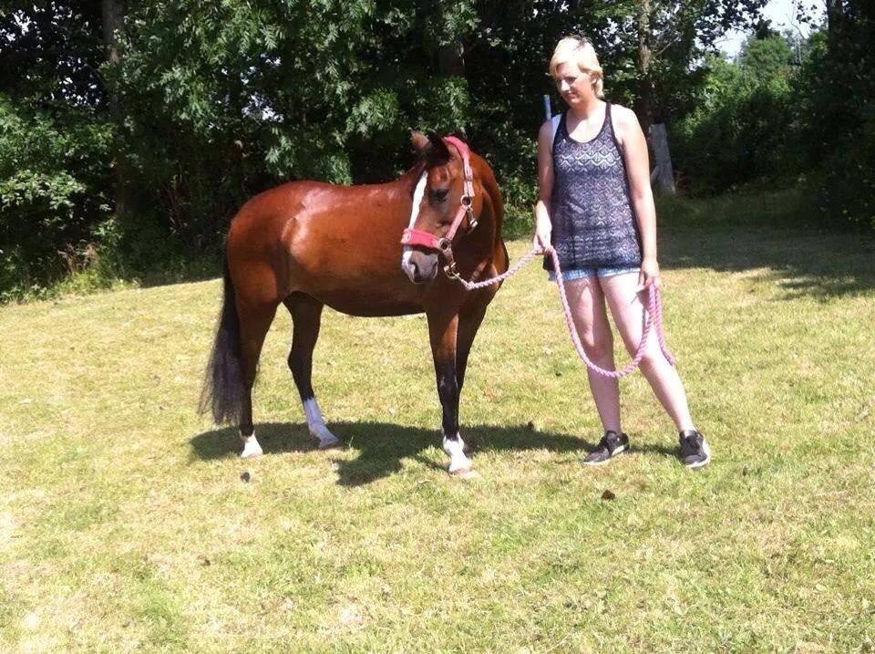 Anden særlig race Bakkegaardens Surprice *SOLGT* billede 1