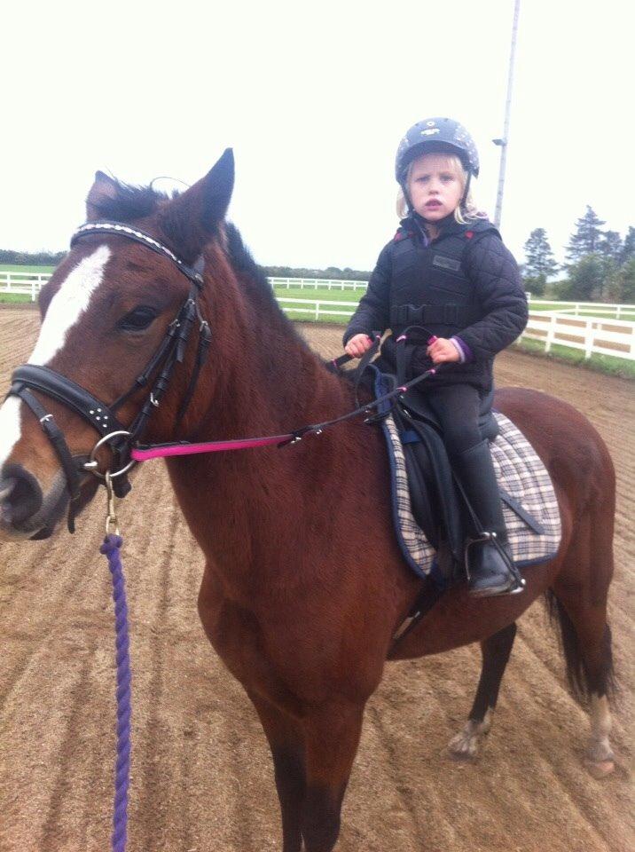 Anden særlig race Bakkegaardens Surprice *SOLGT* billede 14