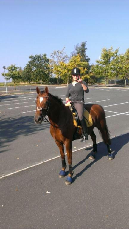 Anden særlig race Anoushka R.I.P. Min skønne tøs! billede 1