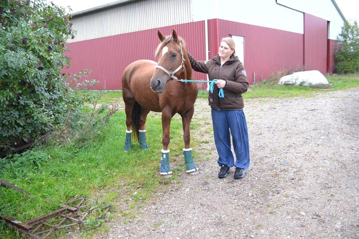 Anden særlig race Anoushka R.I.P. Min skønne tøs! billede 7