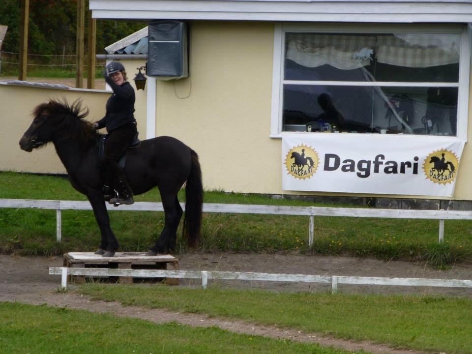 Islænder Hrafnstjarna fra Trehuse billede 17