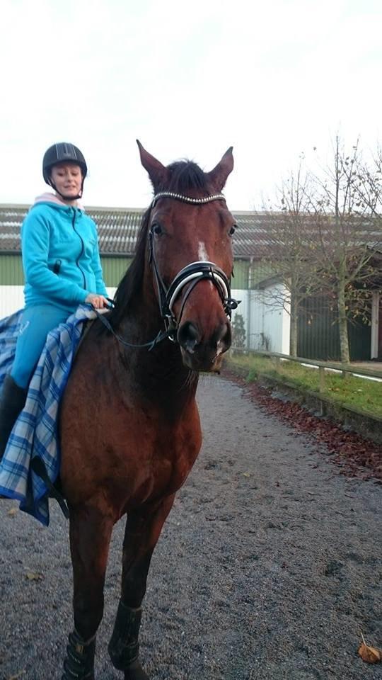 Zweibrücker Gentlemanns jazz billede 1