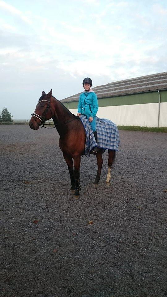 Zweibrücker Gentlemanns jazz billede 3