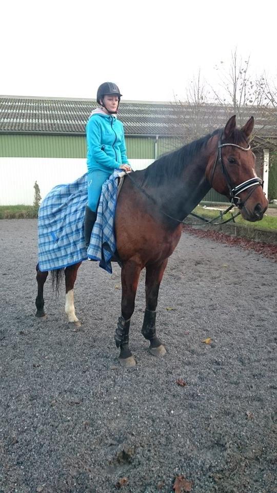 Zweibrücker Gentlemanns jazz billede 5