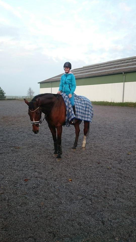 Zweibrücker Gentlemanns jazz billede 2