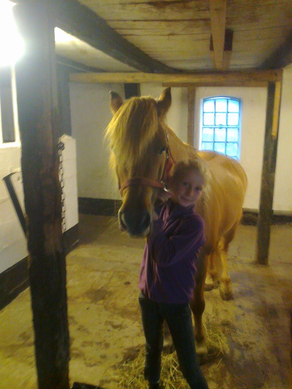 Anden særlig race Frederik billede 3