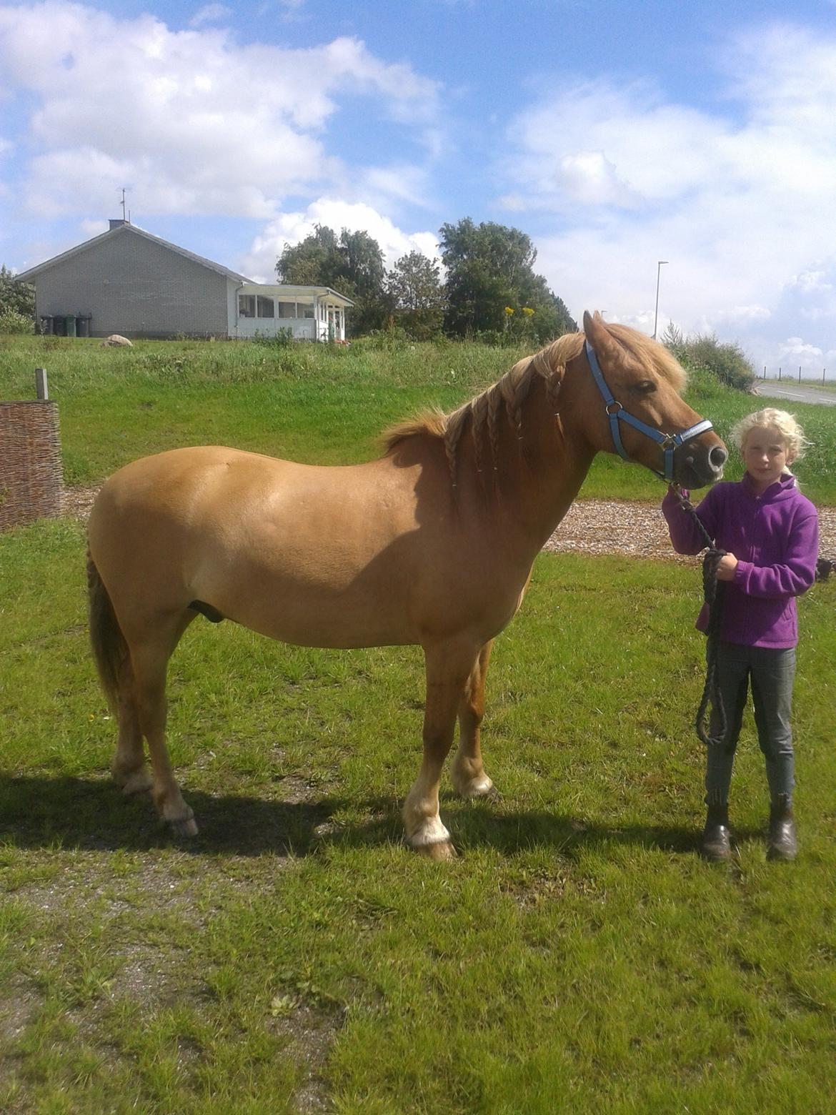 Anden særlig race Frederik billede 5