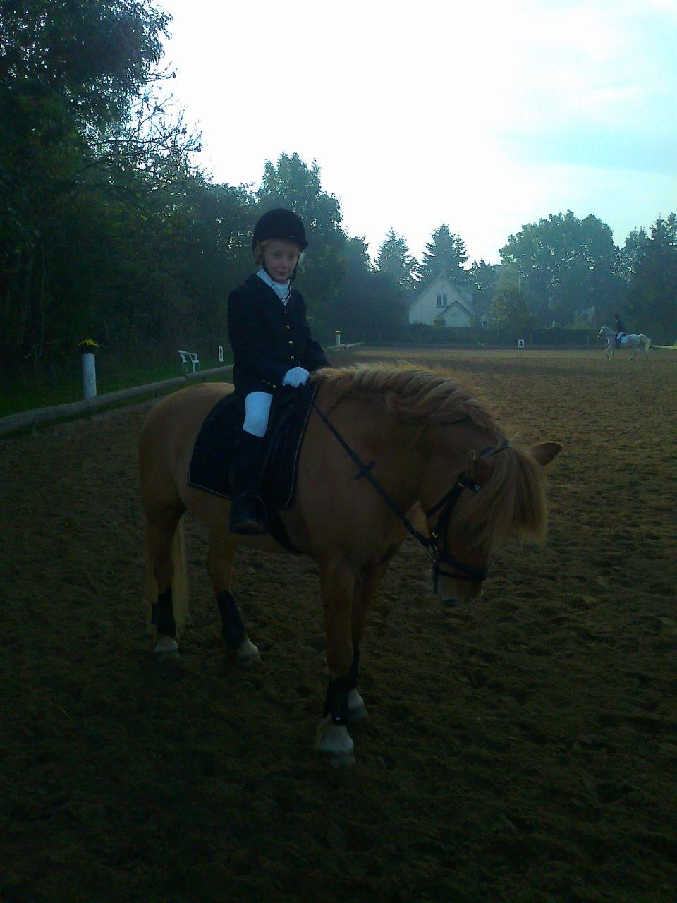 Anden særlig race Frederik billede 4