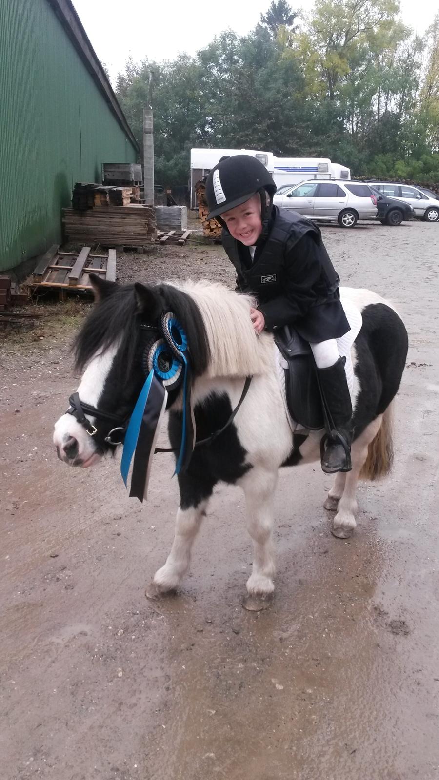 Anden særlig race Frida billede 1