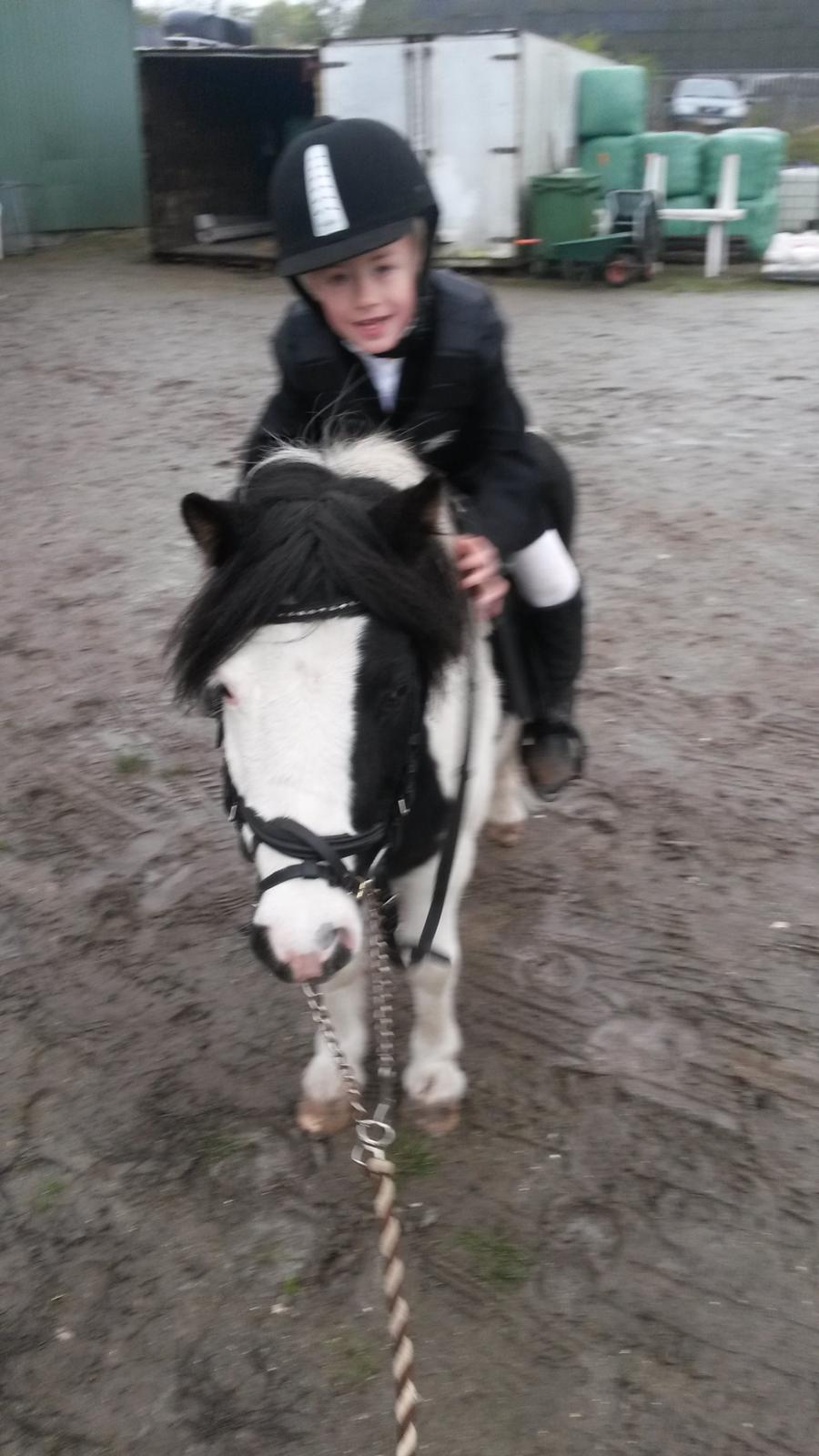 Anden særlig race Frida billede 9