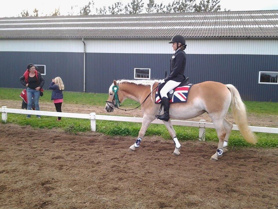 Haflinger Diwa - Diwas og jeg første springstævne 0 fejl billede 4