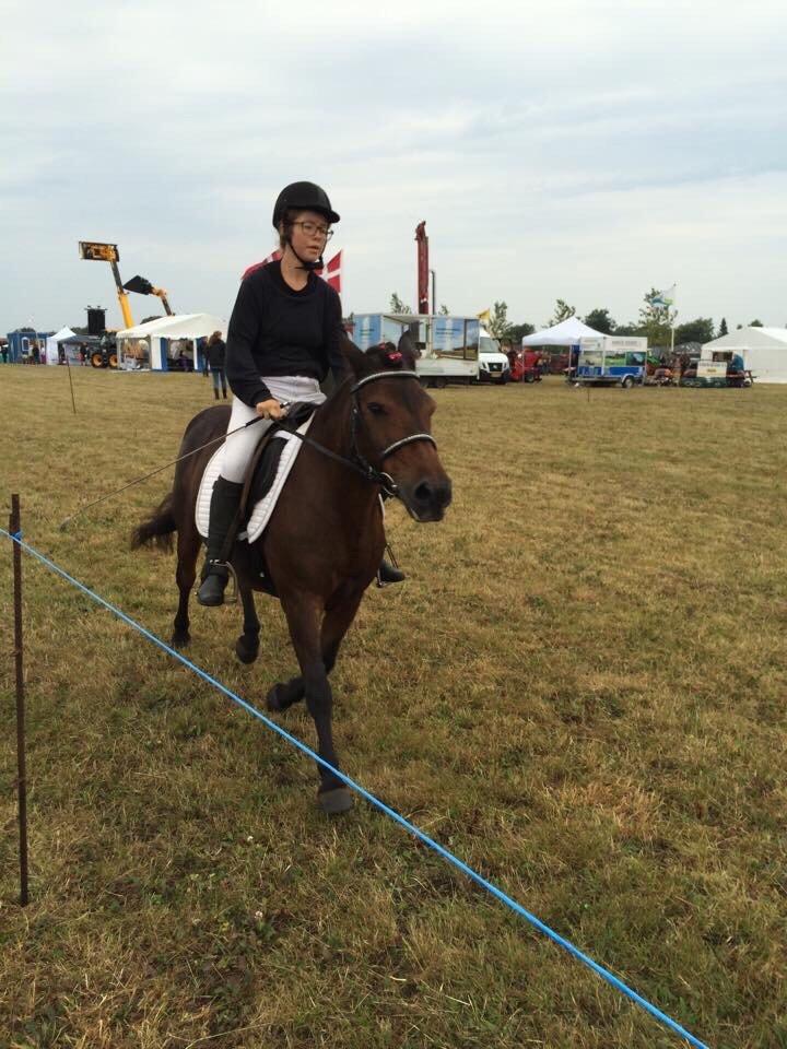 Anden særlig race Berta - Aulum dyreskue billede 8