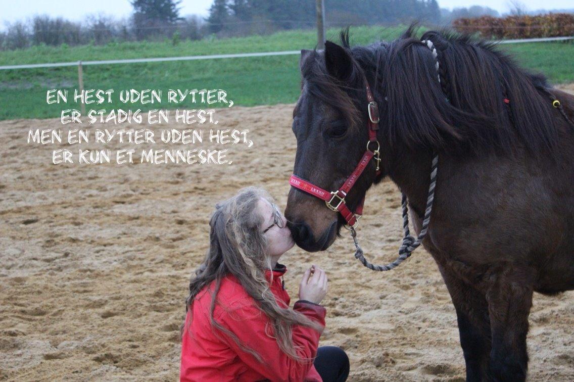 Anden særlig race Berta - Berta <3 billede 1