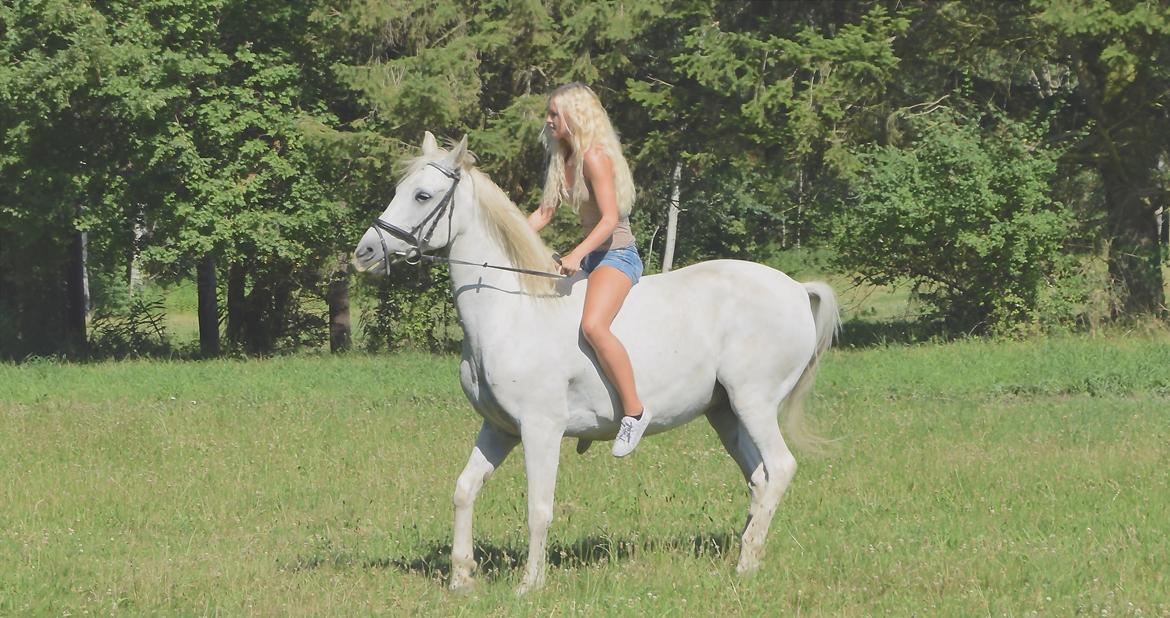 Anden særlig race Moonjam billede 3