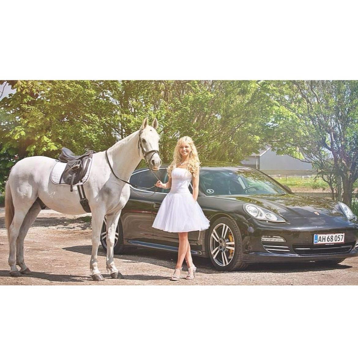 Anden særlig race Moonjam billede 11