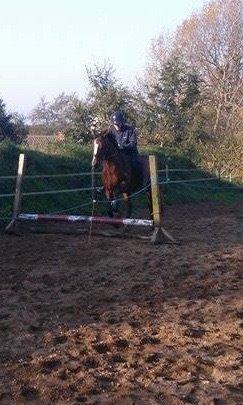 Oldenborg Passadena avenue billede 21