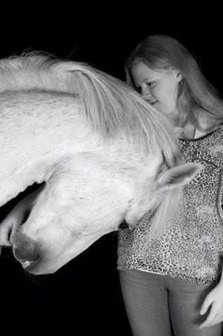 New Forest Firfod Fiol billede 18