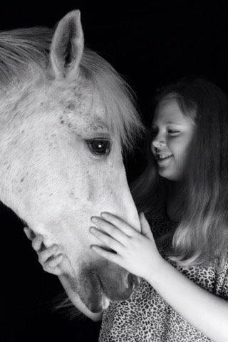 New Forest Firfod Fiol billede 16