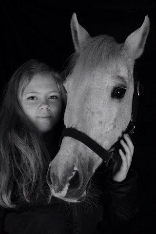 New Forest Firfod Fiol billede 17