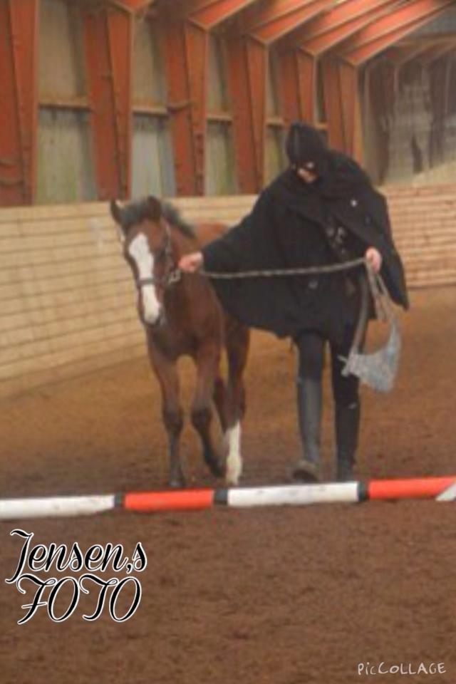 Traver Confetti Chase billede 10