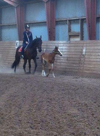 Traver Confetti Chase billede 11