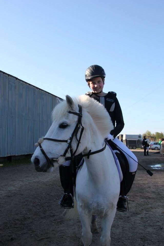 Anden særlig race Tinka billede 12