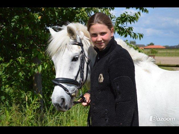 Anden særlig race Tinka billede 18