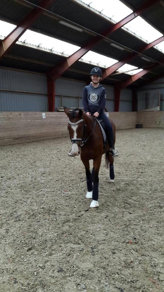 Dansk Varmblod Fifty Cent Nexen - Tak fordi i kiggede med<3 billede 12