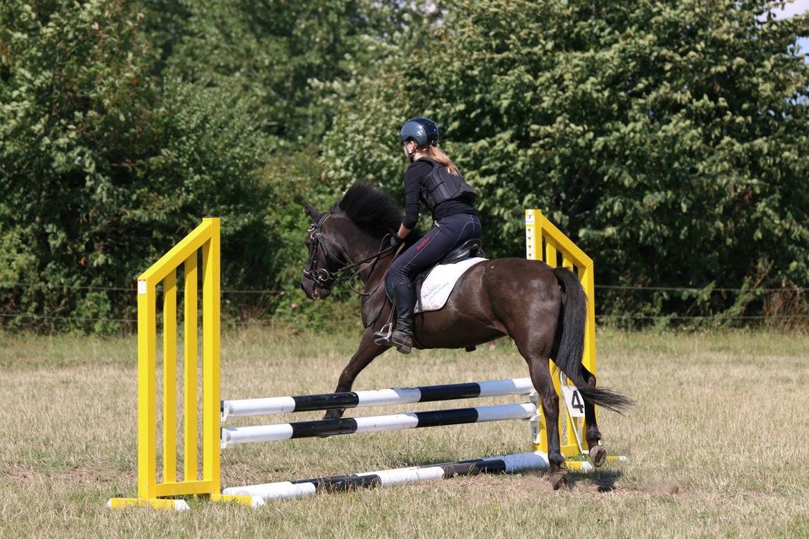 Anden særlig race Black Girl billede 15