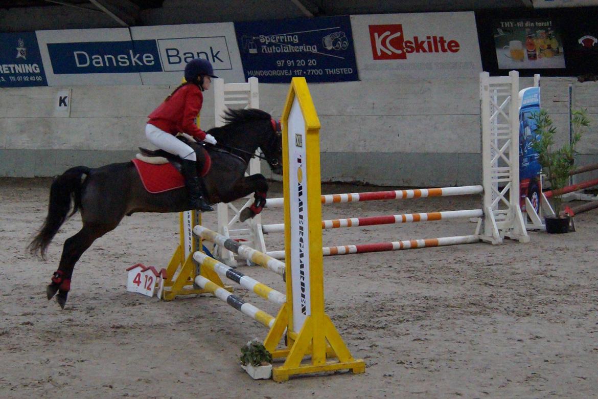 New Forest Milton billede 19