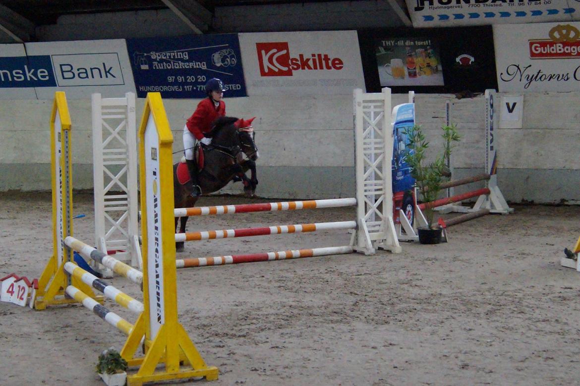 New Forest Milton billede 20