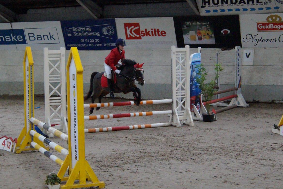 New Forest Milton billede 22