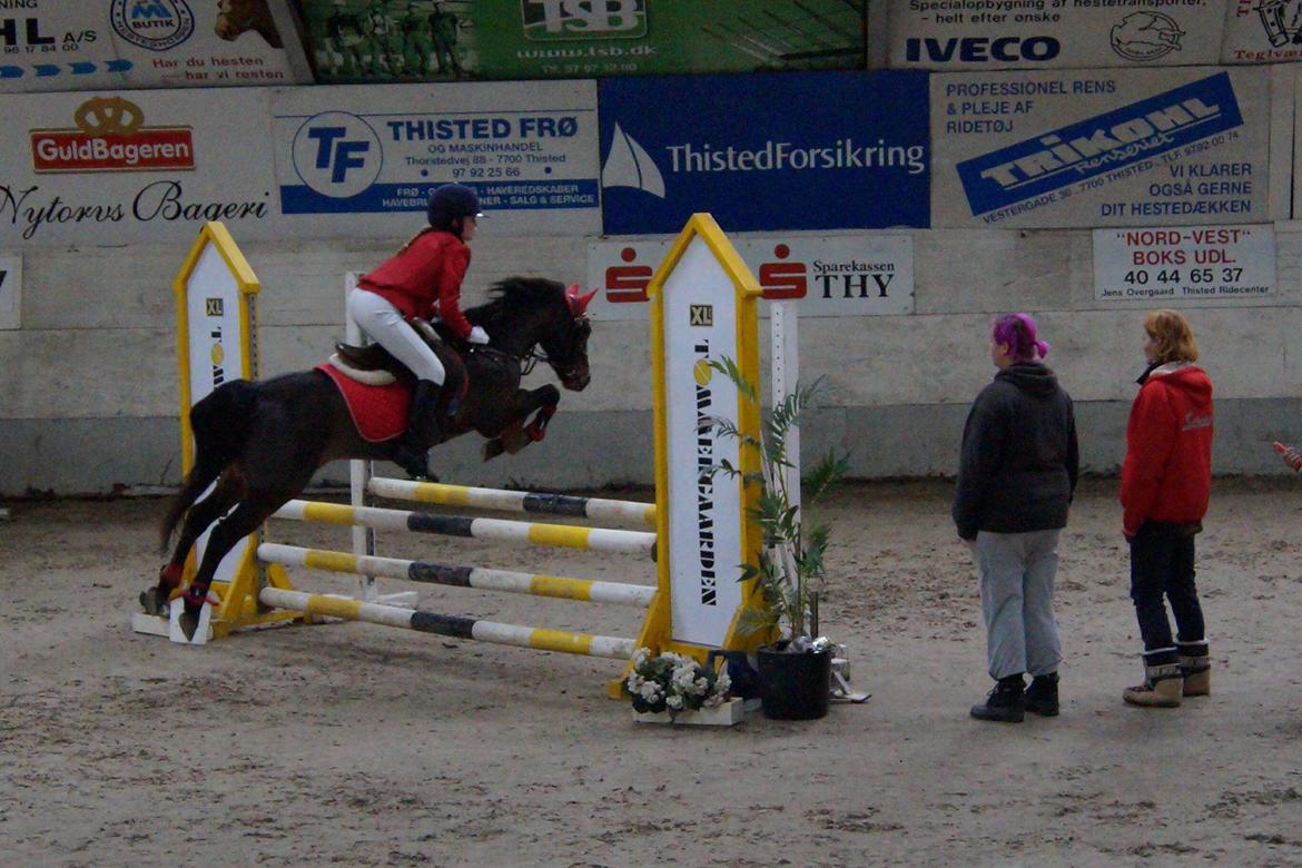 New Forest Milton billede 23