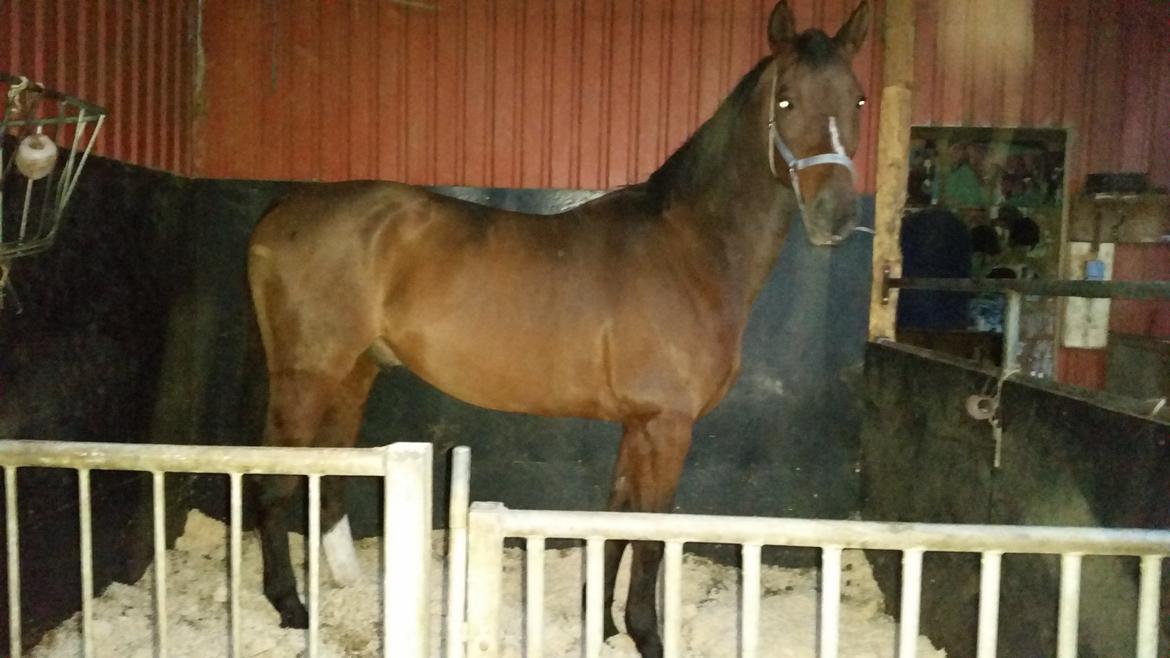 Zweibrücker Gentlemanns jazz billede 7