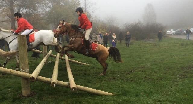 Anden særlig race Yellow billede 5