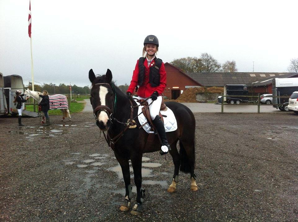 New Forest Sjølunds Tornado! billede 3