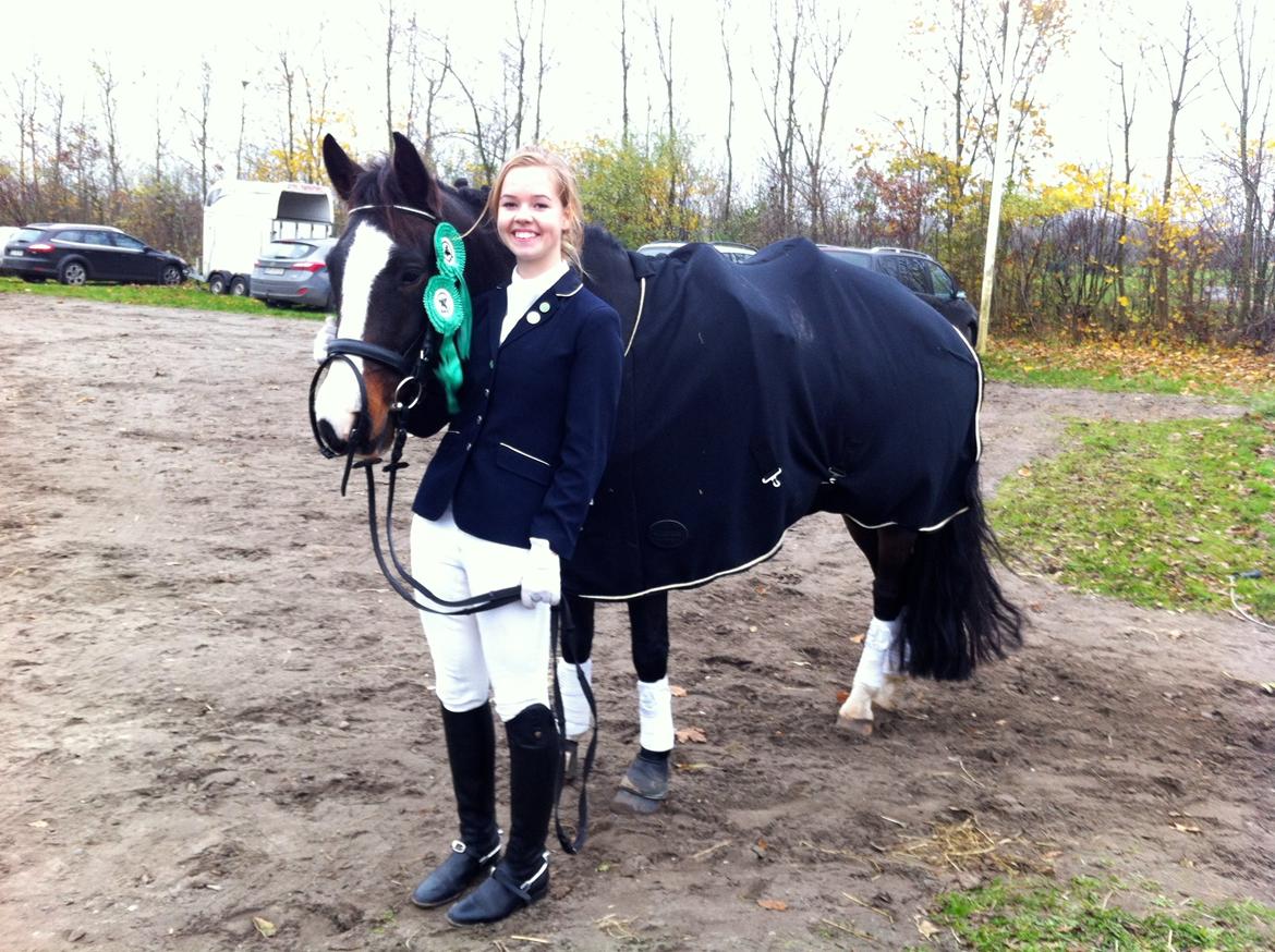 New Forest Sjølunds Tornado! billede 1