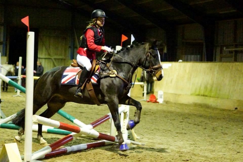 New Forest Sjølunds Tornado! billede 7