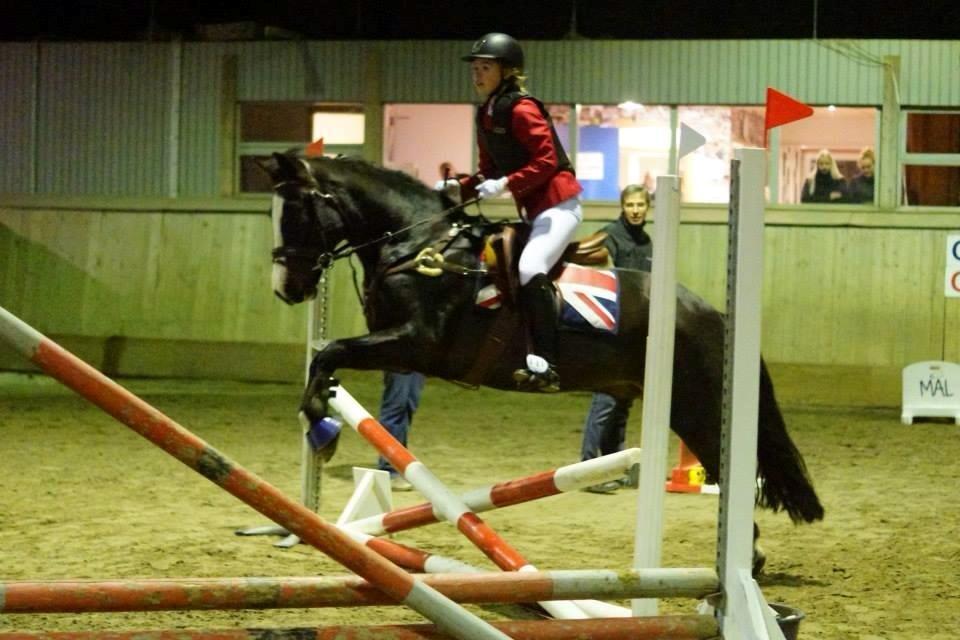 New Forest Sjølunds Tornado! billede 8