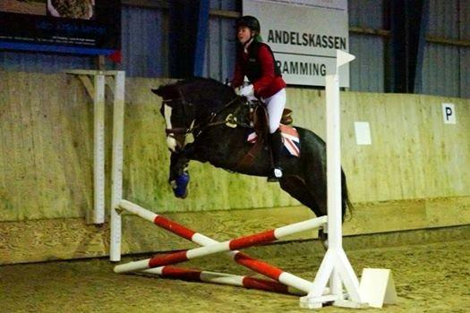 New Forest Sjølunds Tornado! billede 5