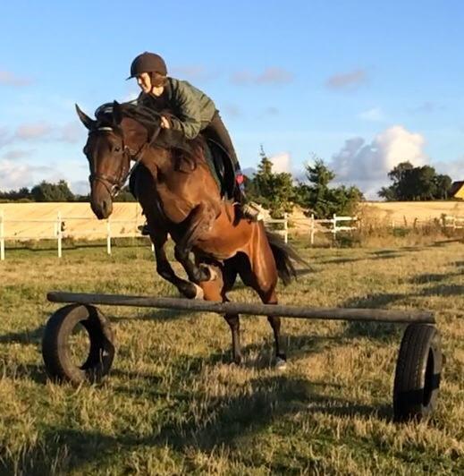 Traver Super Susser billede 18