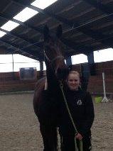 Dansk Varmblod Kunzen (Kenzo) billede 13