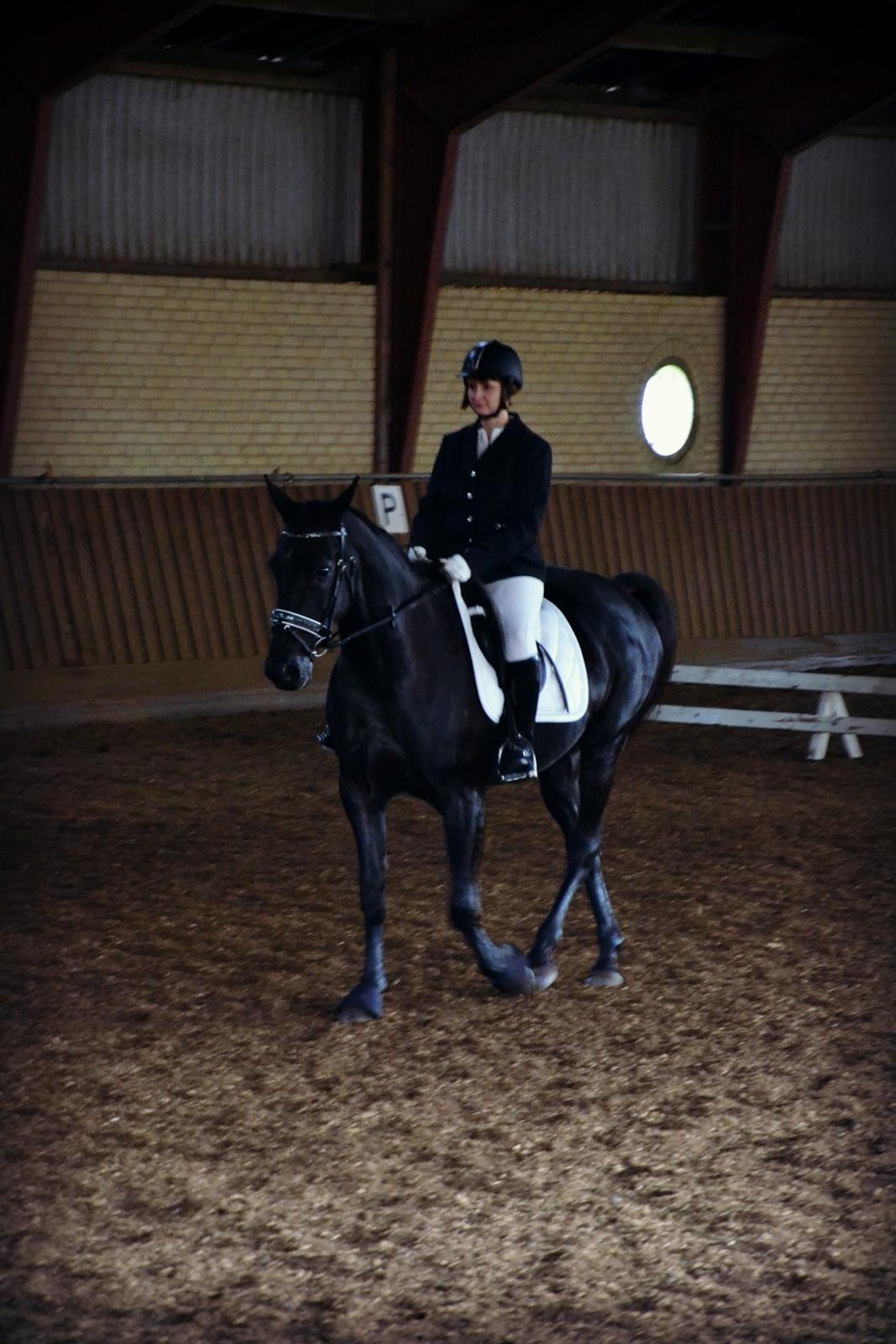 Traver Nemo Sønderholm billede 10