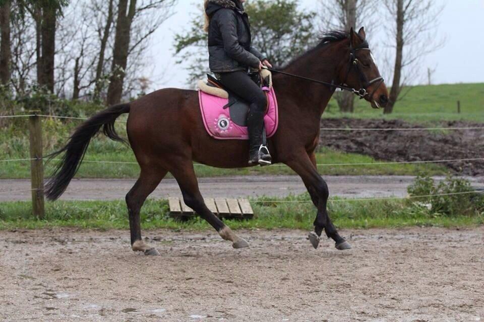 DSP Kulis Akena billede 9